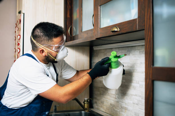 Best Pest Control Treatment  in Harristown, IL