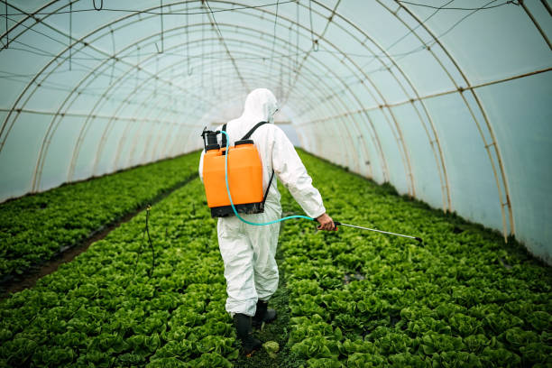 Best Insect Control  in Harristown, IL