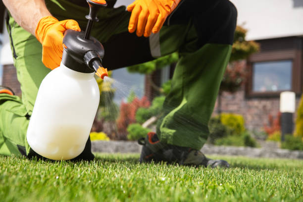 Best Termite Control Services  in Harristown, IL