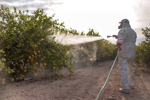 Best Exterminator Services  in Harristown, IL