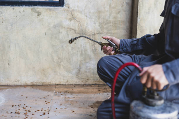 Best Ant Control Services  in Harristown, IL