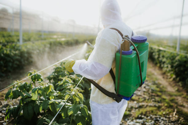 Professional Pest Control in Harristown, IL